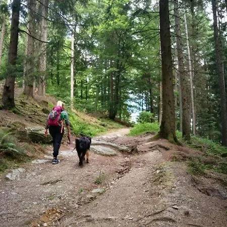 Berg- Und Seeblick Am Hillebachsee By Interhome *