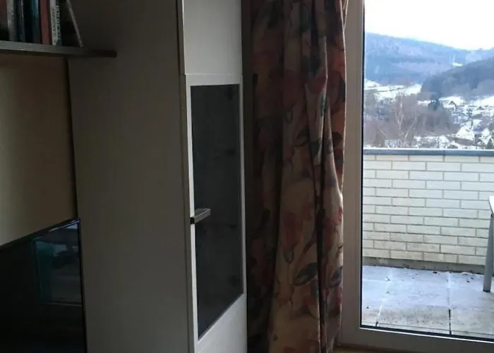 Berg- Und Seeblick Am Hillebachsee By Interhome Lägenhet Winterberg