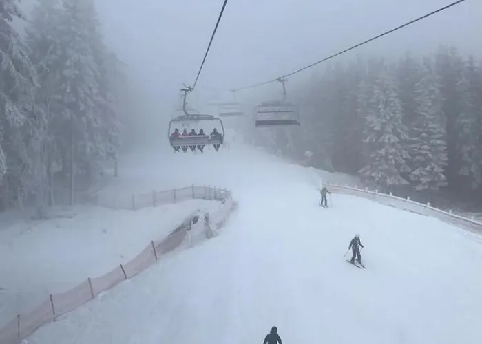Lägenhet Berg- Und Seeblick Am Hillebachsee By Interhome Winterberg