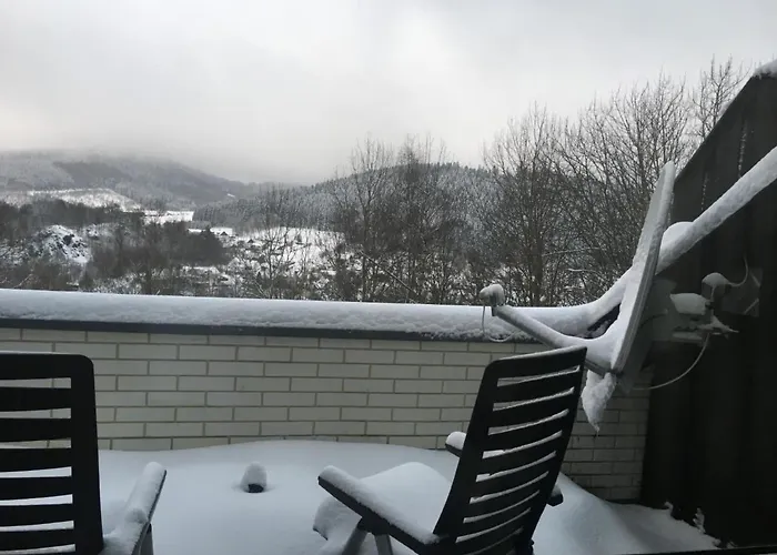 Berg- Und Seeblick Am Hillebachsee By Interhome Lägenhet Winterberg