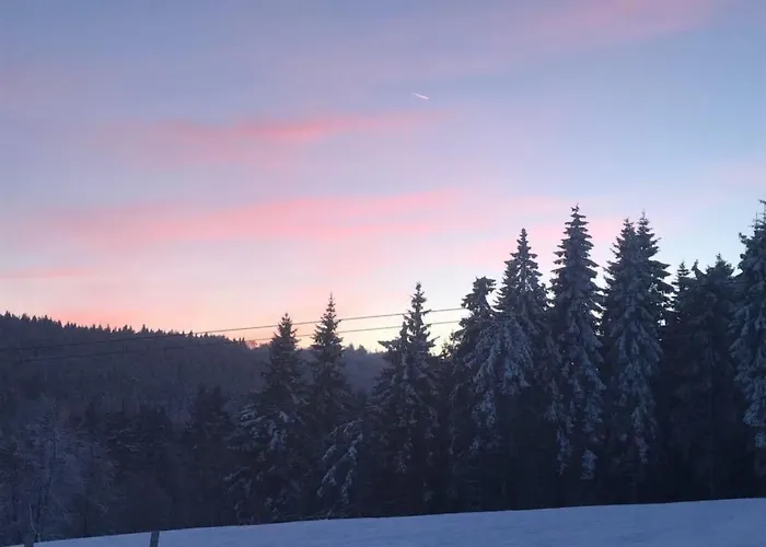 Lägenhet Berg- Und Seeblick Am Hillebachsee By Interhome Winterberg