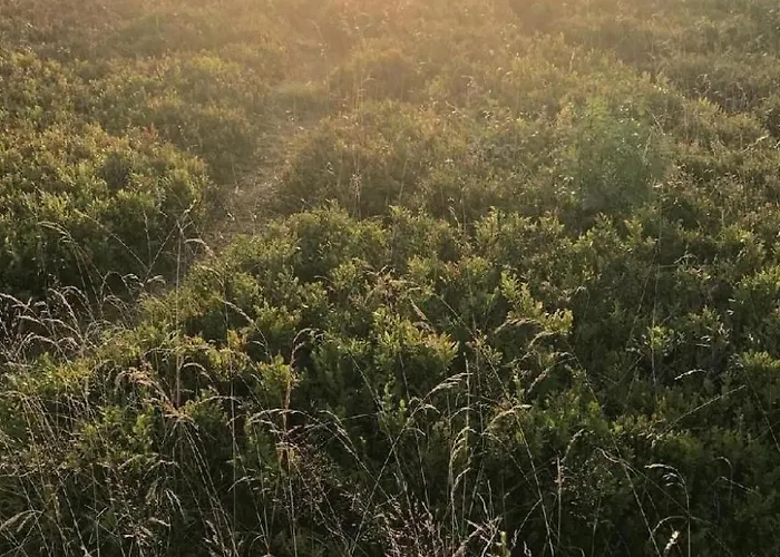 Berg- Und Seeblick Am Hillebachsee By Interhome * Winterberg